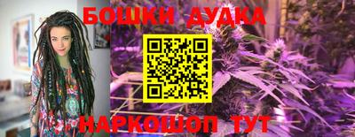 прущие крисы Заводоуковск