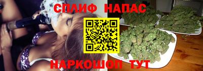 прущие грибы Бугуруслан