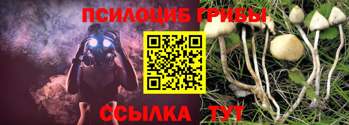 Галлюциногенные грибы GOLDEN TEACHER Стрежевой