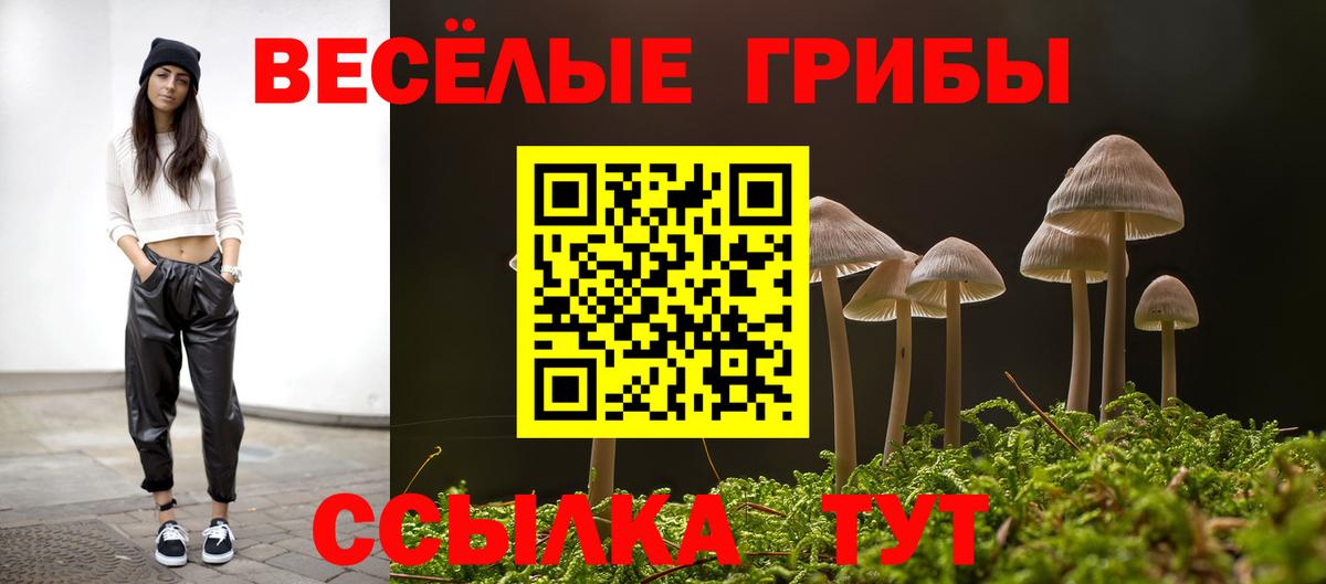 Стрежевой  Псилоцибиновые грибы Psilocybe  даркнет сайт  Псилоцибиновые грибы MAGIC MUSHROOMS  Вход с VPN 